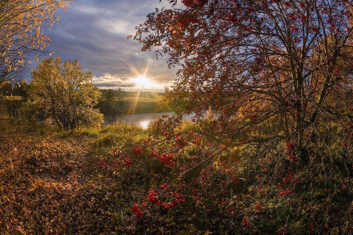 Осеннее утро картинки красивые. Рассвет осенью. Осенний пейзаж солнце. Солнечная поздняя осень. Осенняя Заря.