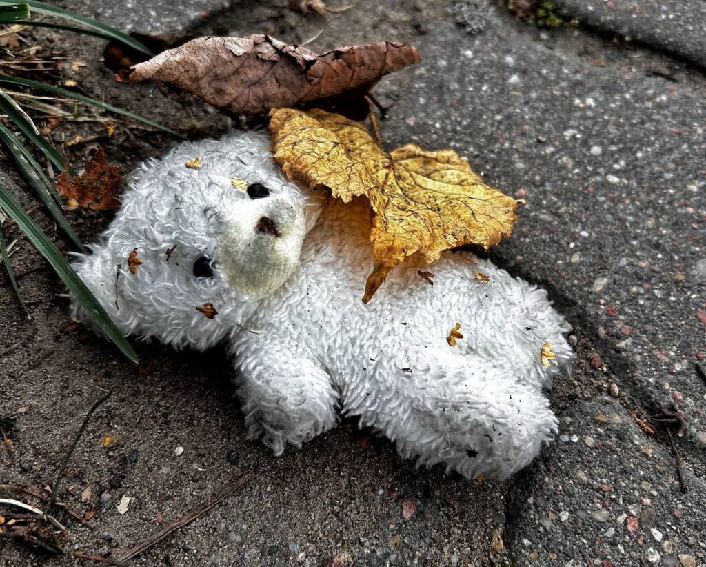 В Беларуси увеличена финансовая поддержка детей-сирот