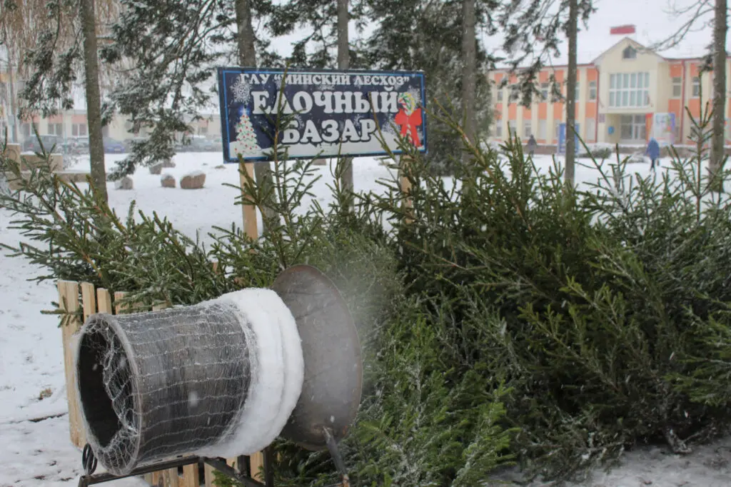 елочные базары в Дзержинске