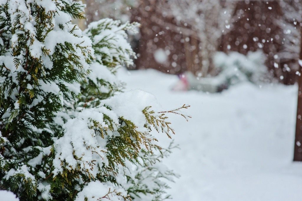 Снег и до -5°C обещают синоптики 18 февраля