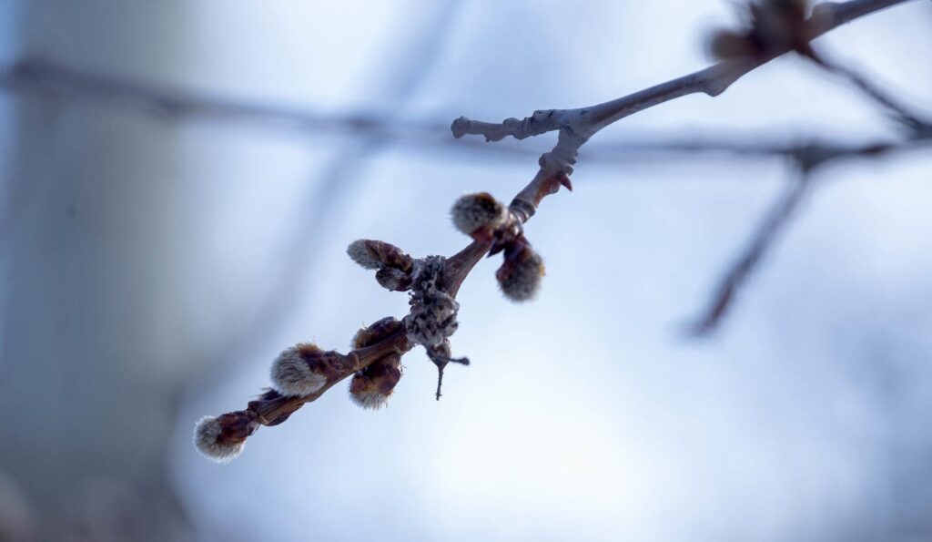 До ..+5°C ожидается в Дзержинске 26 февраля