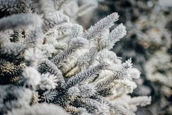 О погоде на 13 февраля рассказали в Белгидромете  