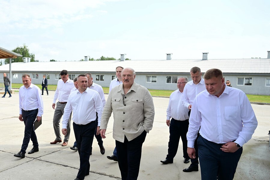 Президент: к 1 сентября в стране не должно быть ни одного бревна, валяющегося на опушке леса