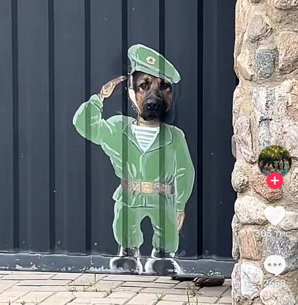 Собака-пограничник из Дзержинска взорвала TikTok: 5,5 млн просмотров за 3 дня