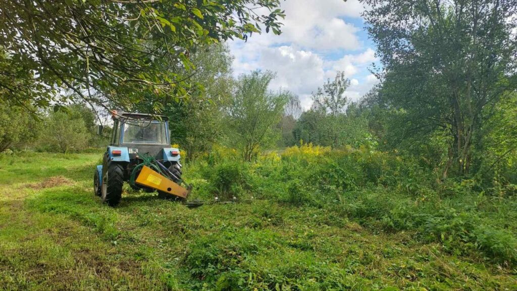 Не все золото, что растет. В Боровском сельсовете продолжают борьбу с золотарником