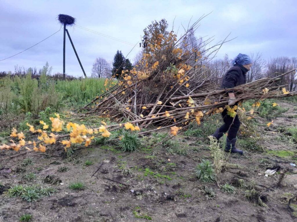 Забота о памяти. В д. Добринево жители навели порядок на гражданском кладбище