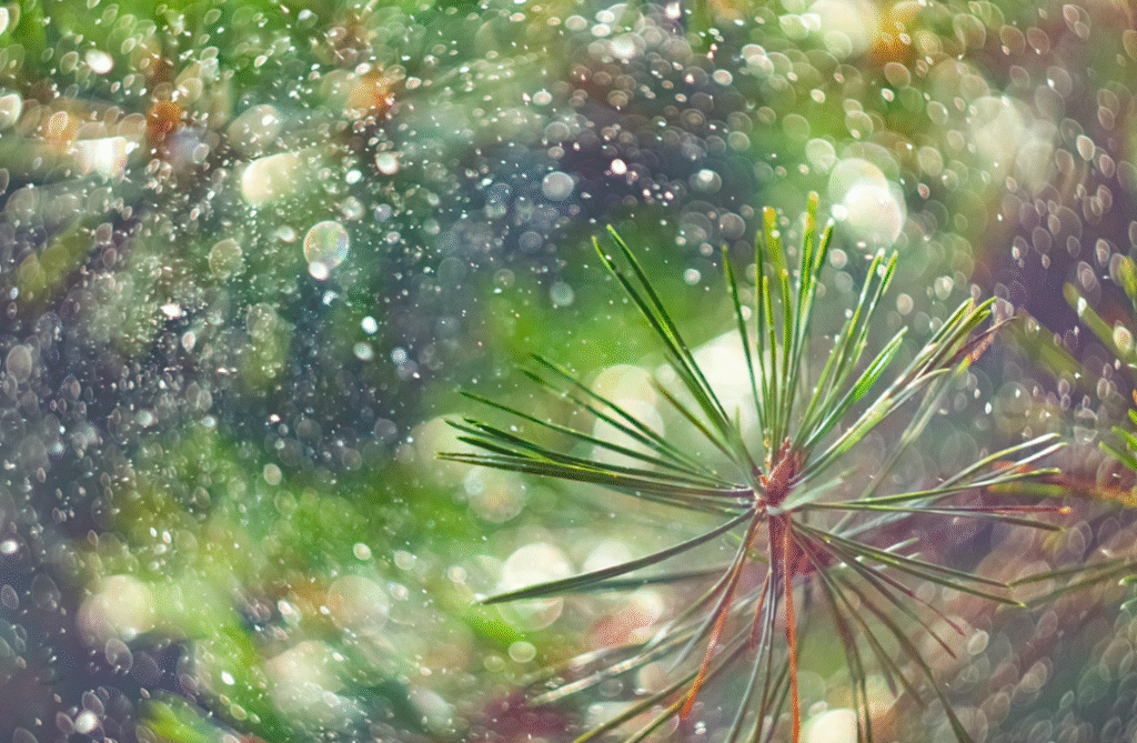 Вода и пульверизатор: создаем волшебное боке для фото без дорогого оборудования