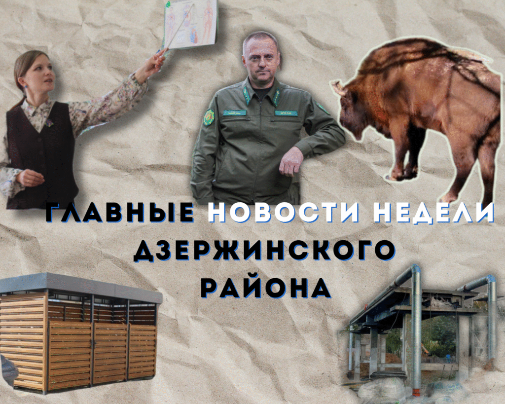 Топ-новости Дзержинского района за прошедшую неделю