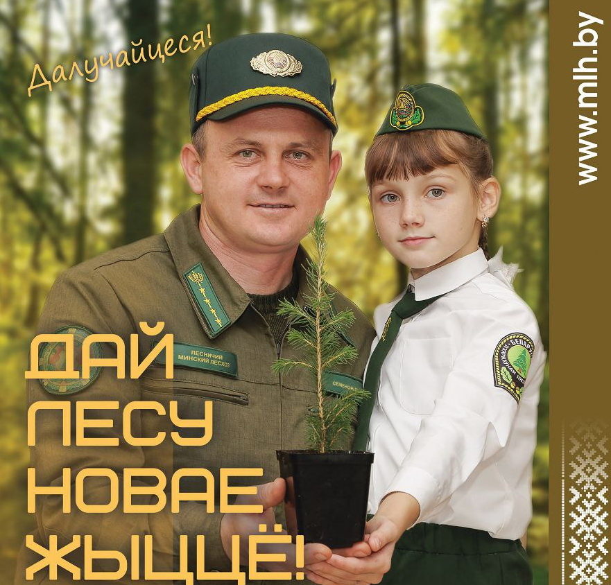 С 11 по 31 октября в Беларуси пройдет акция «Дай лесу новае жыцце!»
