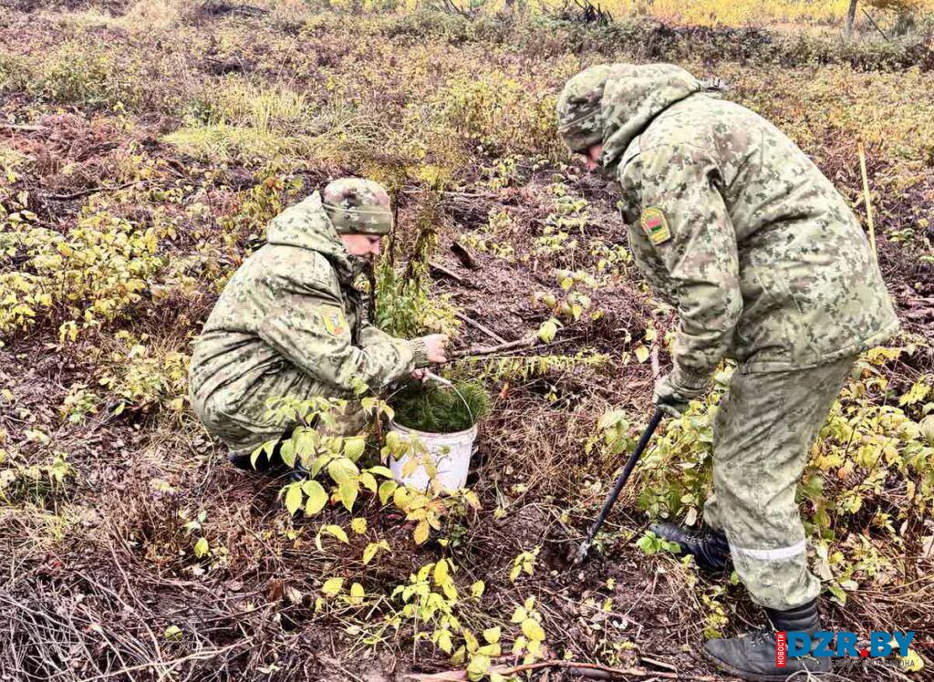 «Дай лесу новае жыцце».  Военнослужащие в/ч 1463 внесли свой вклад в озеленение района