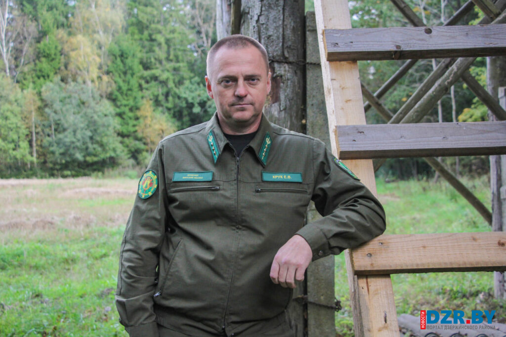 «Зубр пришел к нам и остался». Инженер-охотовед Минского лесхоза — о работе, развитии охоты и неожиданном госте леса