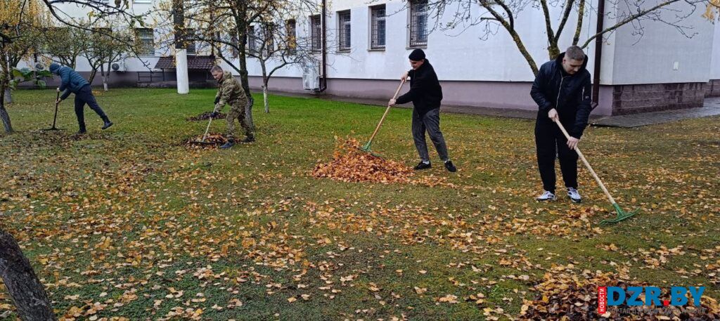 Как прошел субботник в Дзержинском РОВД