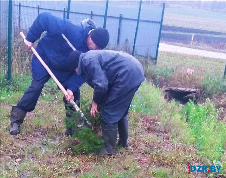 «Дождь не помеха!» Работники Водоканала навели порядок на территории своего предприятия