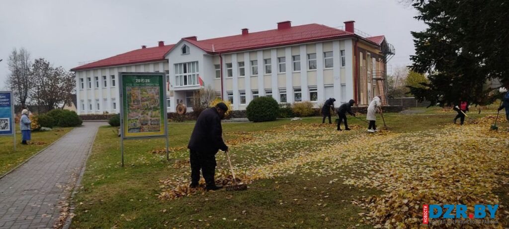 Сотрудники библиотеки вышли на субботник в Дзержинске и в Новоселках