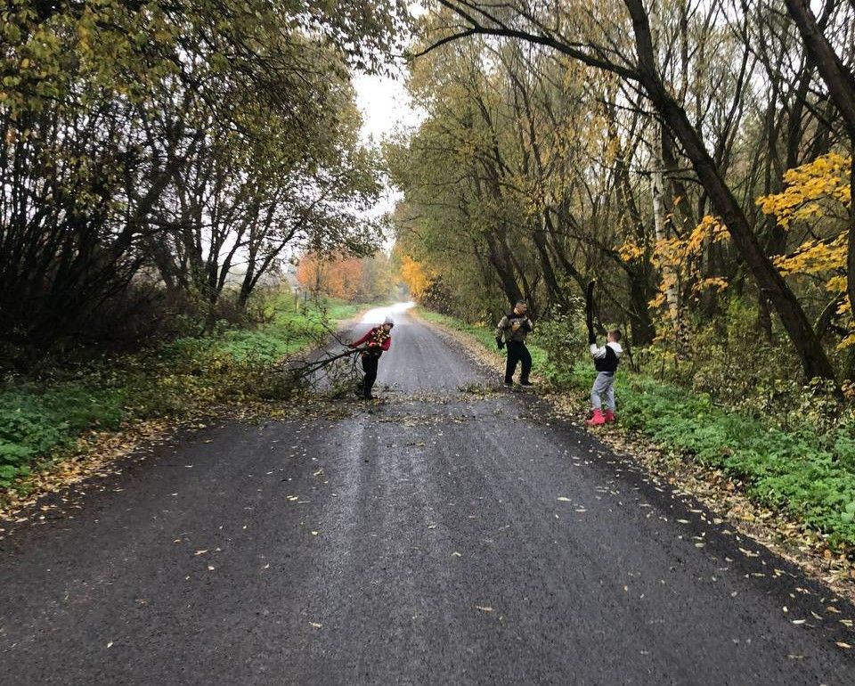 Память в действии. В Кавелярнах жители навели порядок на братской могиле