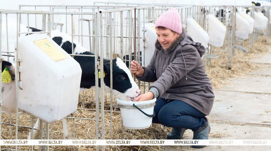 Стипендия за пятерки. Как «Крутогорье-Петковичи» нашло способ мотивировать школьников