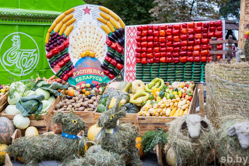 Сколько картофеля, молока и мяса пришлось на душу населения в 2024 году, рассказали в Белстате