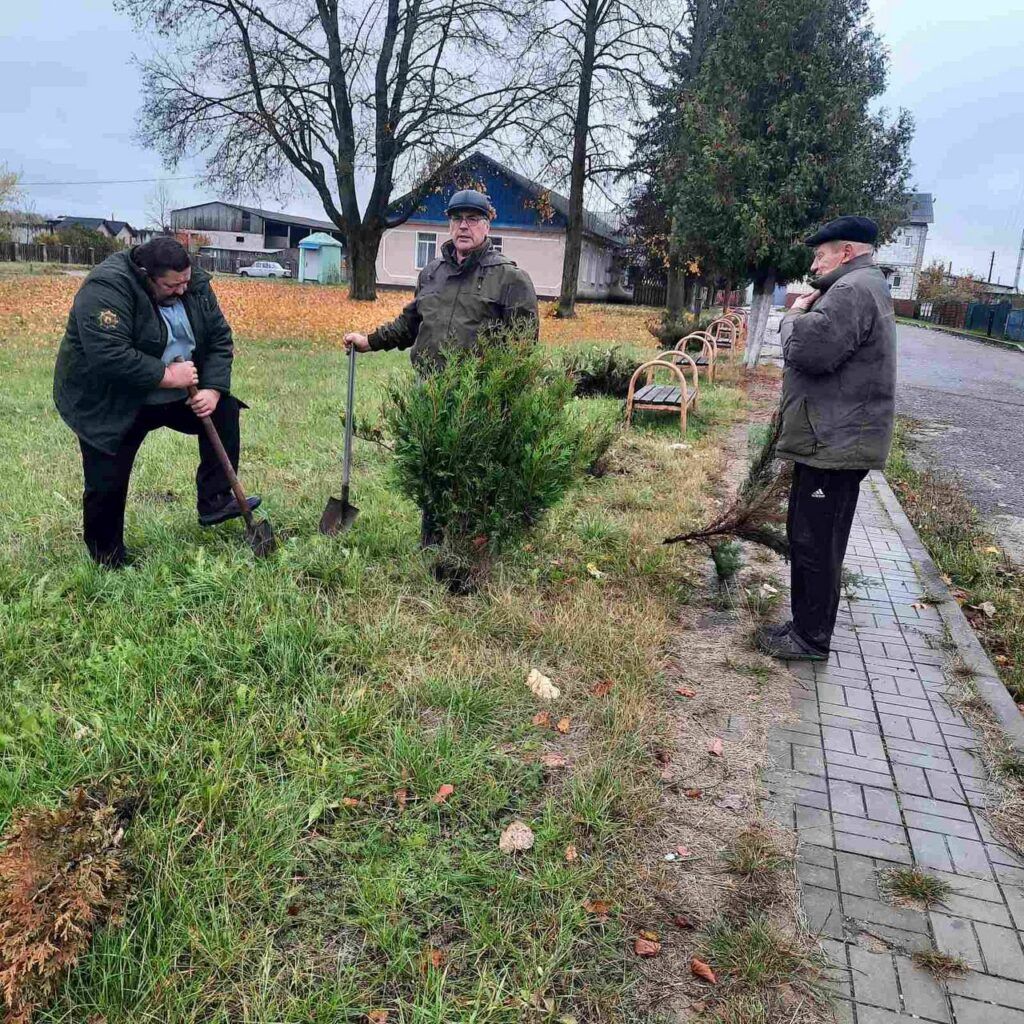 Народный подход. Как жители и власти Боровского сельсовета меняют свою малую родину