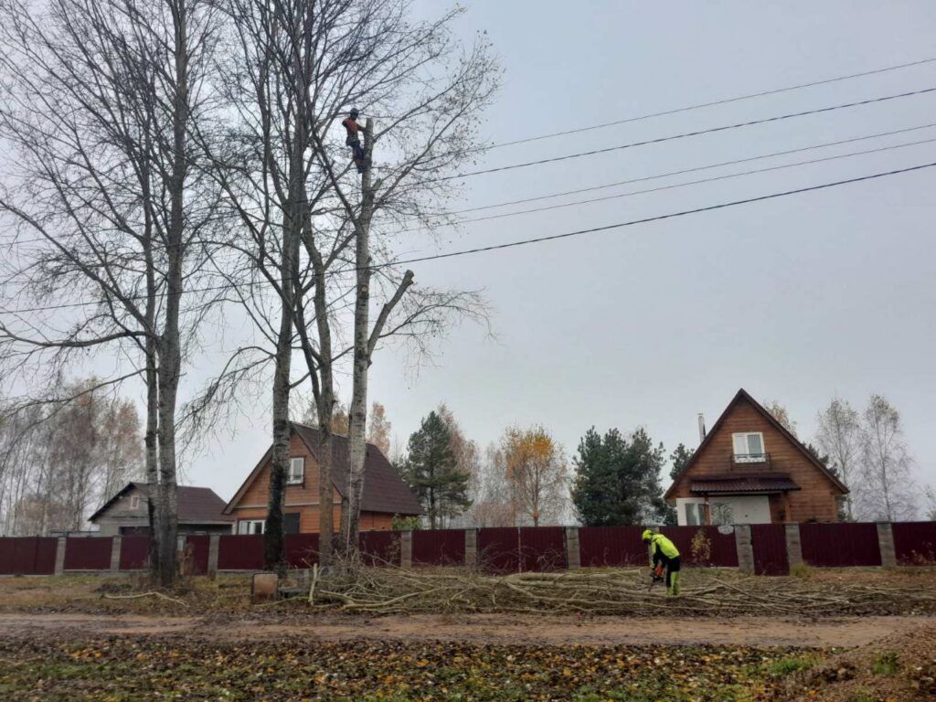 Красота без угрозы. Работы по обрезке деревьев ведутся в Добриневском сельсовете