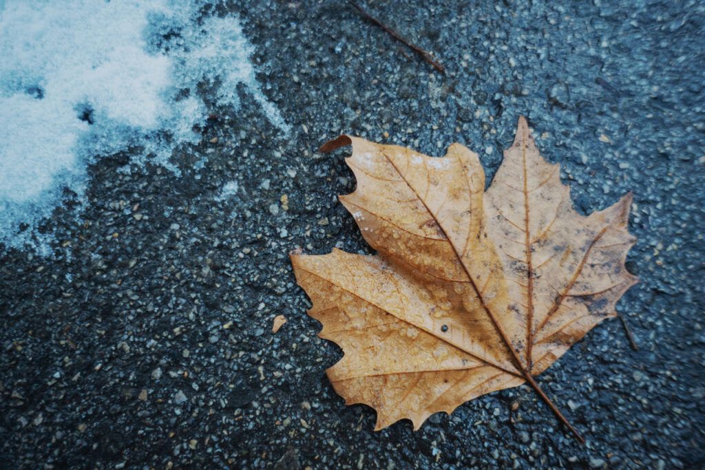 Дождь и до +4°С будет в Минской области 21 ноября