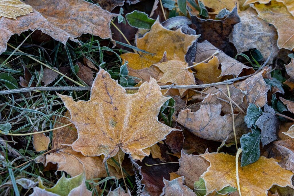 До +9°С и без осадков: какая погода будет в Минской области 6 ноября?