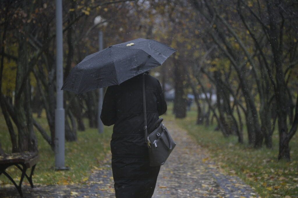 Кратковременный дождь ожидается 14 ноября в Минской области