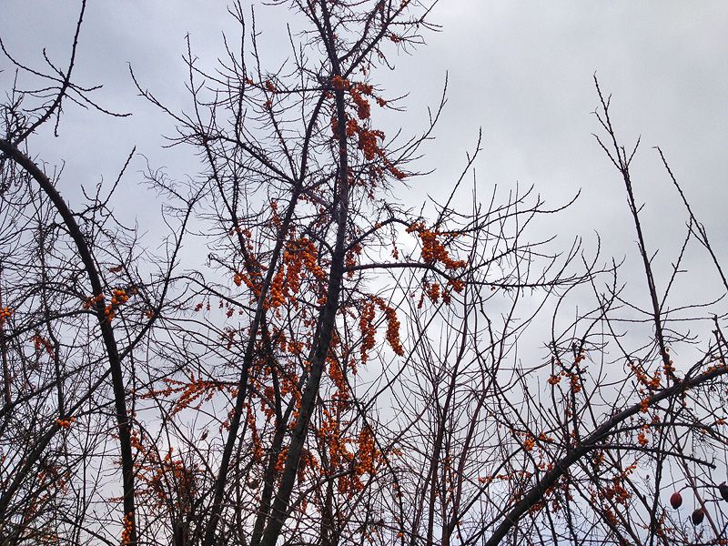 О погоде в Минской области 5 ноября рассказали в Белгидромете