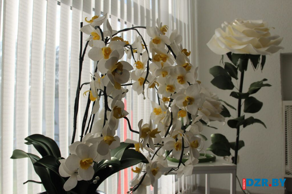 В Дзержинске открылась уникальная выставка цветов-светильников «Сказочная страна цветов»