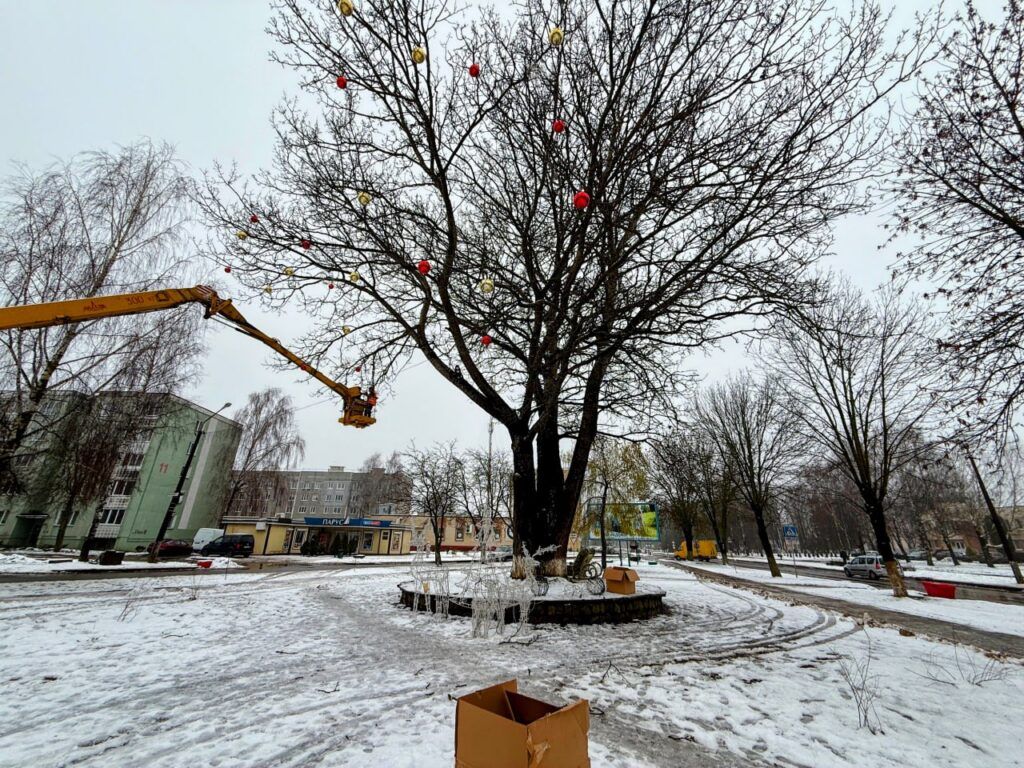 Фаниполь начинает подготовку к Новому году: первыми новогодними шарами украсили «тройное» дерево