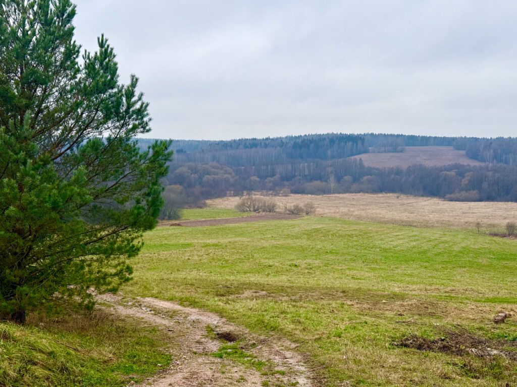 Место силы. Как живет деревня, известная на всю страну своим родником