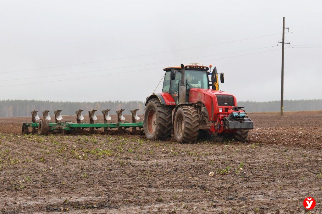 Как в Дзержинском районе создают интернациональную команду для белорусской глубинки