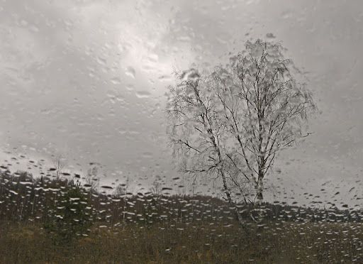 Оранжевый уровень погодной опасности объявлен в Беларуси 12 ноября