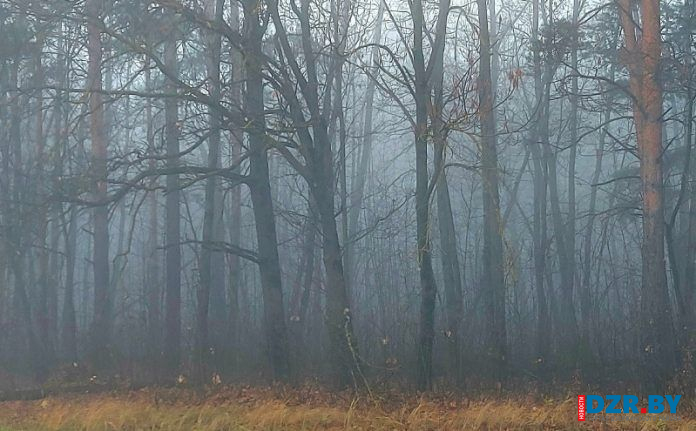 От -1°С ночью до +7°С днем: какая погода будет в Беларуси и Минской области 6 декабря?