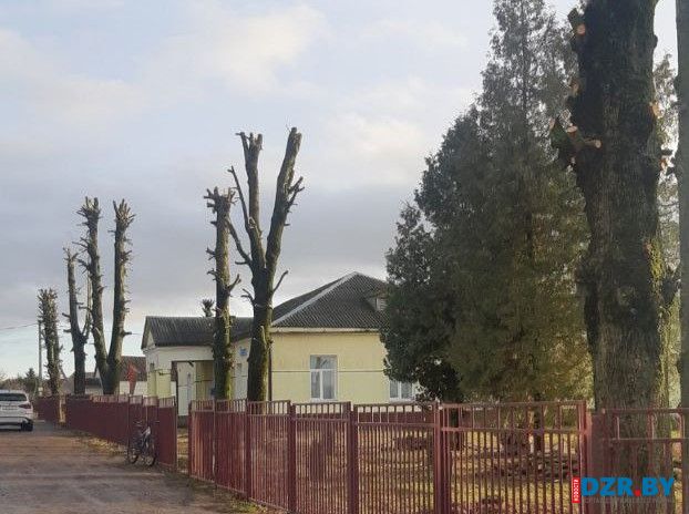 Акцент на безопасности. В агрогородке Черкассы начали работы по обрезке деревьев