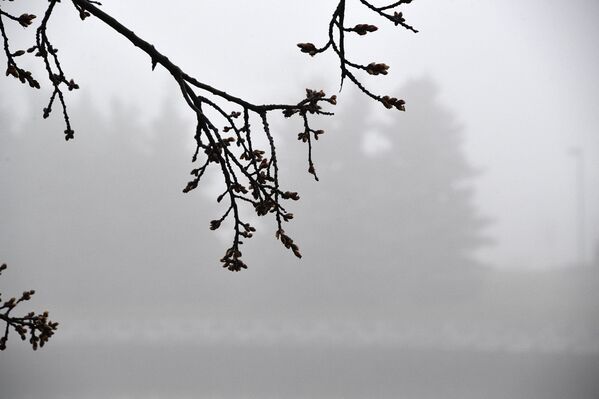 Слабый гололед, туман и до +6°С.. Какой будет погода в Беларуси 3 декабря