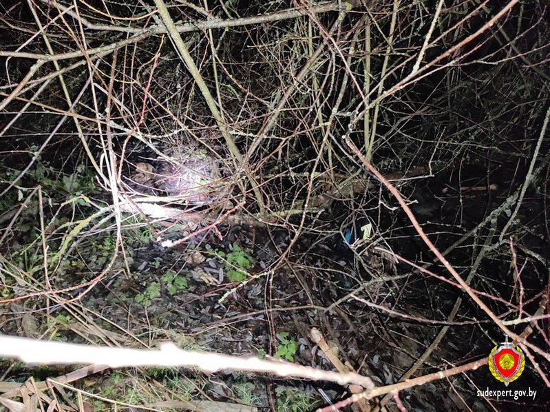 ДНК помогло в поисках пропавшего жителя Дзержинского района