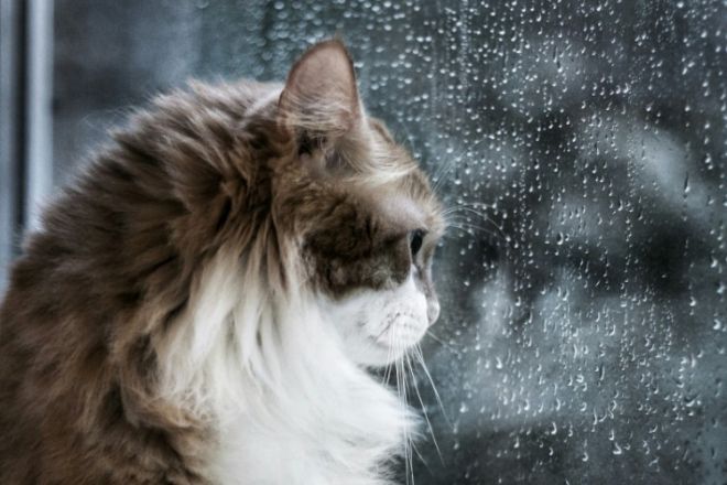 Дождь и до +5°С обещают в Минской области 4 декабря