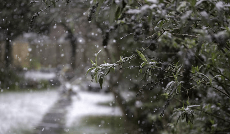 О погоде в Минской области 5 декабря рассказали в Белгидромете