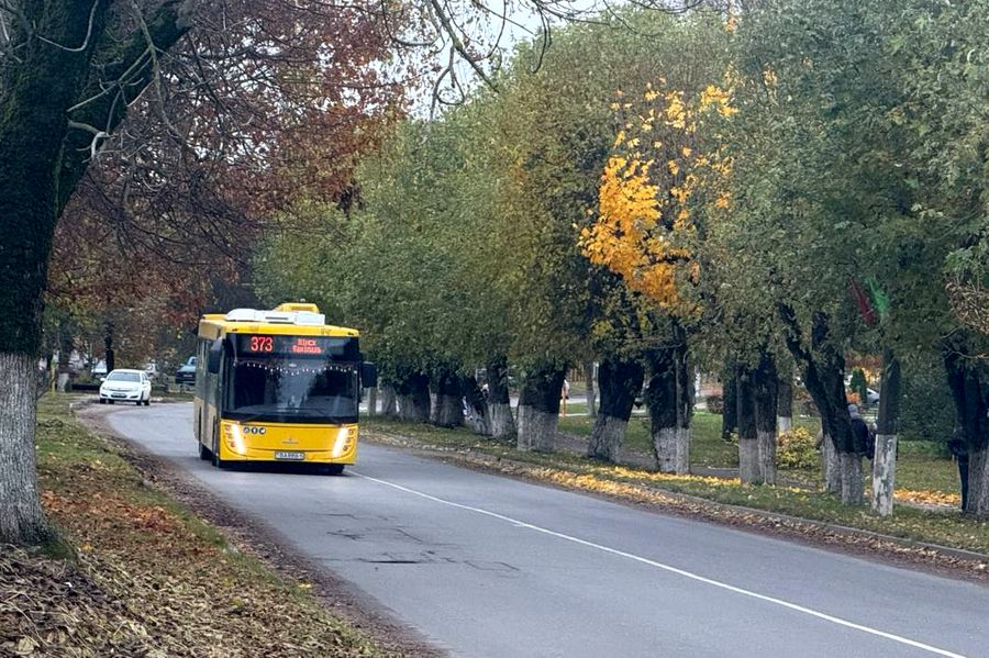 Между Минском и Фаниполем пустят дополнительный автобус с 24 декабря
