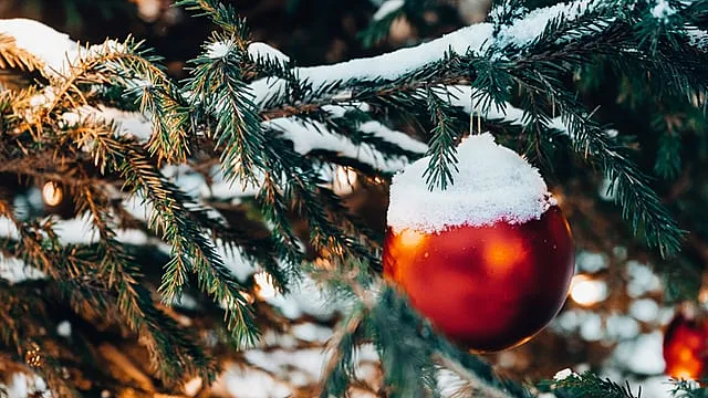 До -6°С, снег и гололедицу прогнозируют в Минской области 30 декабря