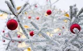 О погоде в Минской области 23 декабря рассказали в Белгидромете