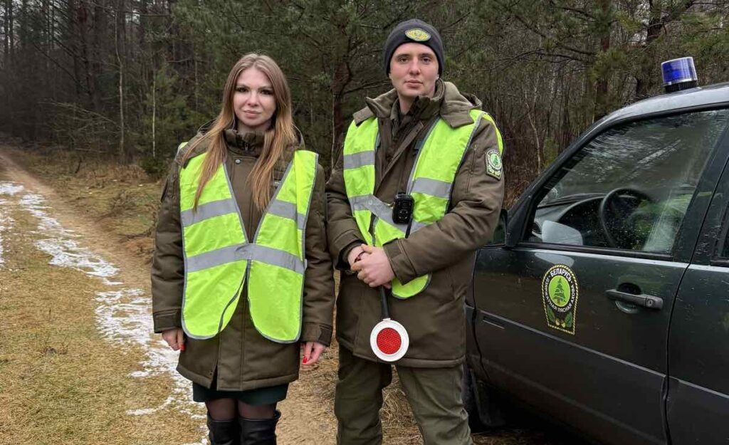 Штраф до 1000 рублей: в лесах Минской области начались усиленные рейды против незаконных вырубок ёлок