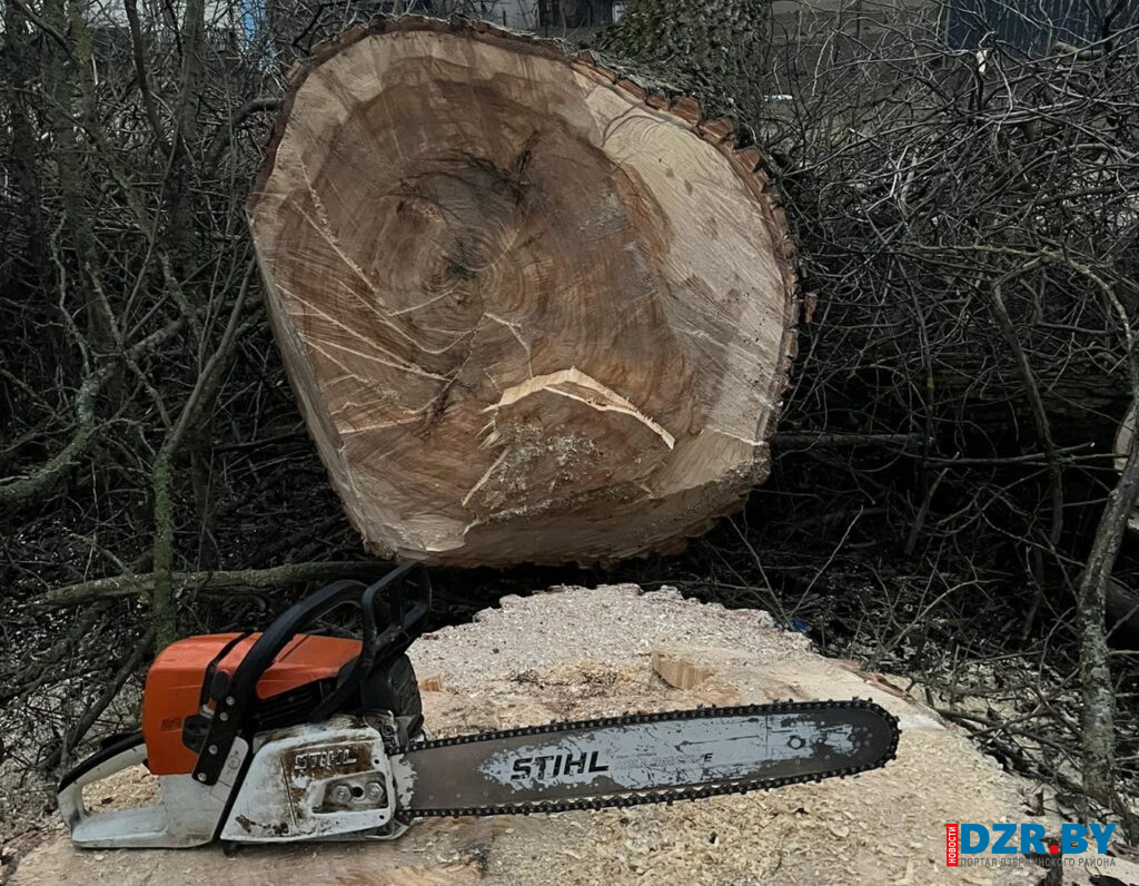 В д. Павловщина заменили ограждение на кладбище, в пос. Энергетиков — удалили аварийные деревья