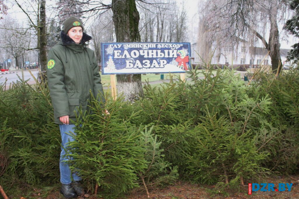 Сегодня в центре Дзержинска работает елочный базар