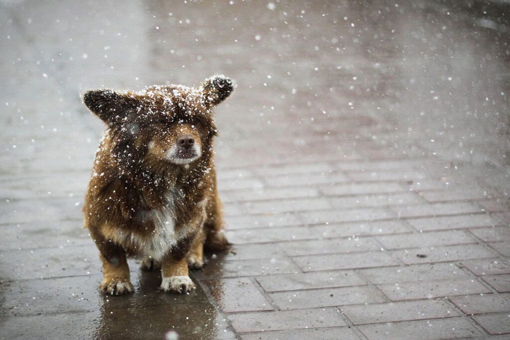 Дождь и до +8°С: какая погода будет в Минской области 12 декабря?