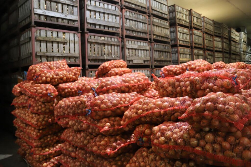 Комитет госконтроля Минской области проведет «горячую линию» по качеству и доступности овощей и фруктов