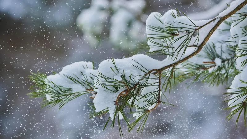 До -11°С днем ожидается в Минской области 21 января