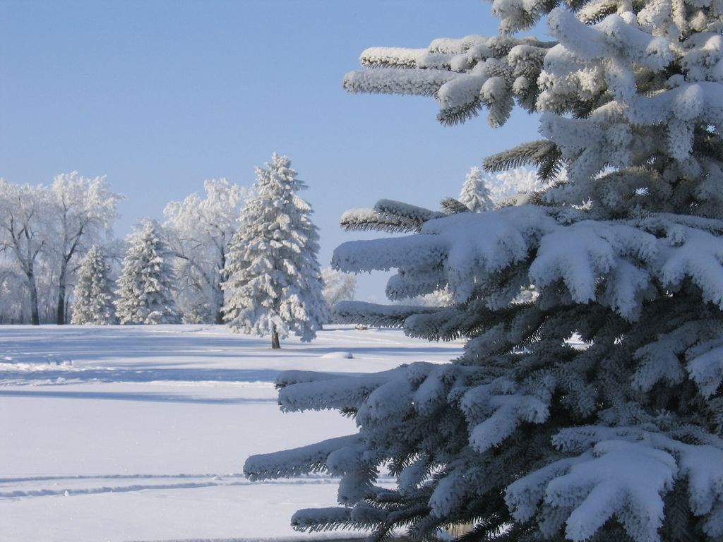 Какая погода будет в Беларуси и Минской области 22 января, рассказали в Белгидромете