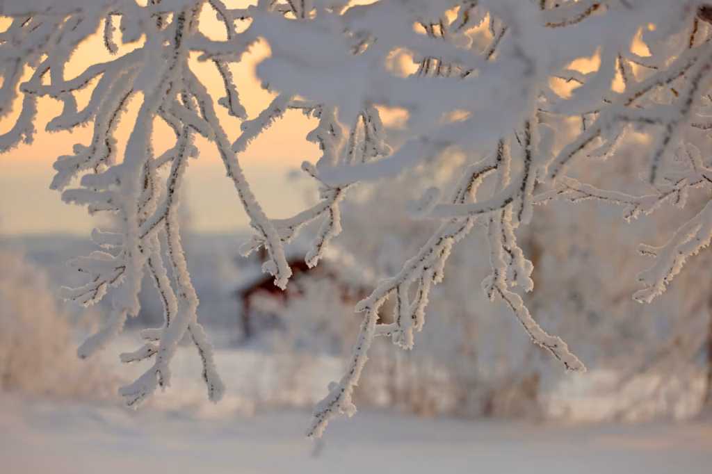 +1°С, мокрый снег и гололедица — о погоде в минской области 27 января рассказали синоптики