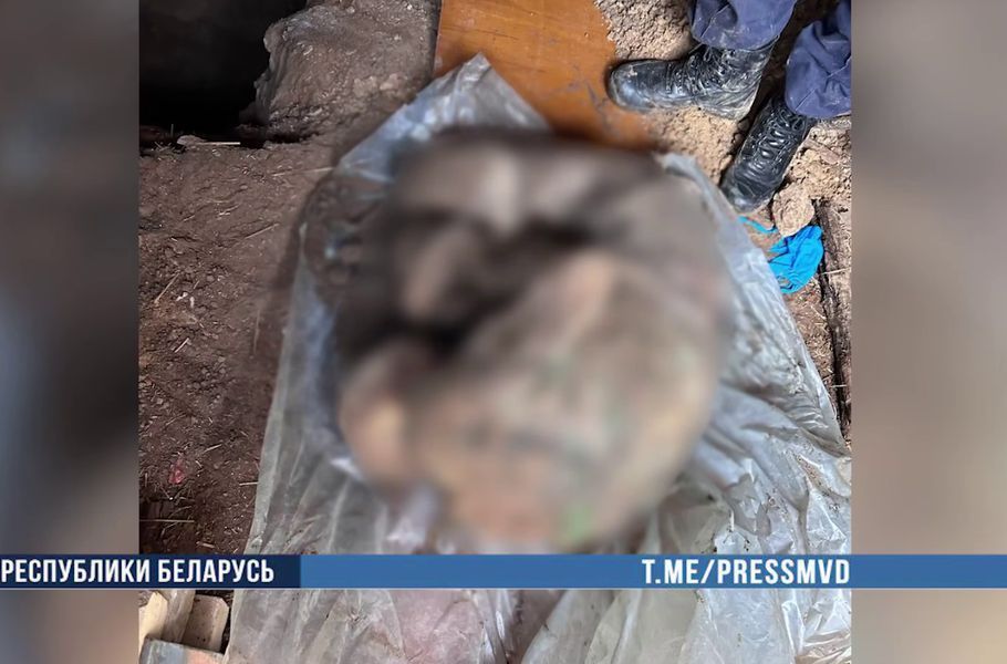 Задержан житель Дзержинска, подозреваемый в убийстве отца своей сожительницы